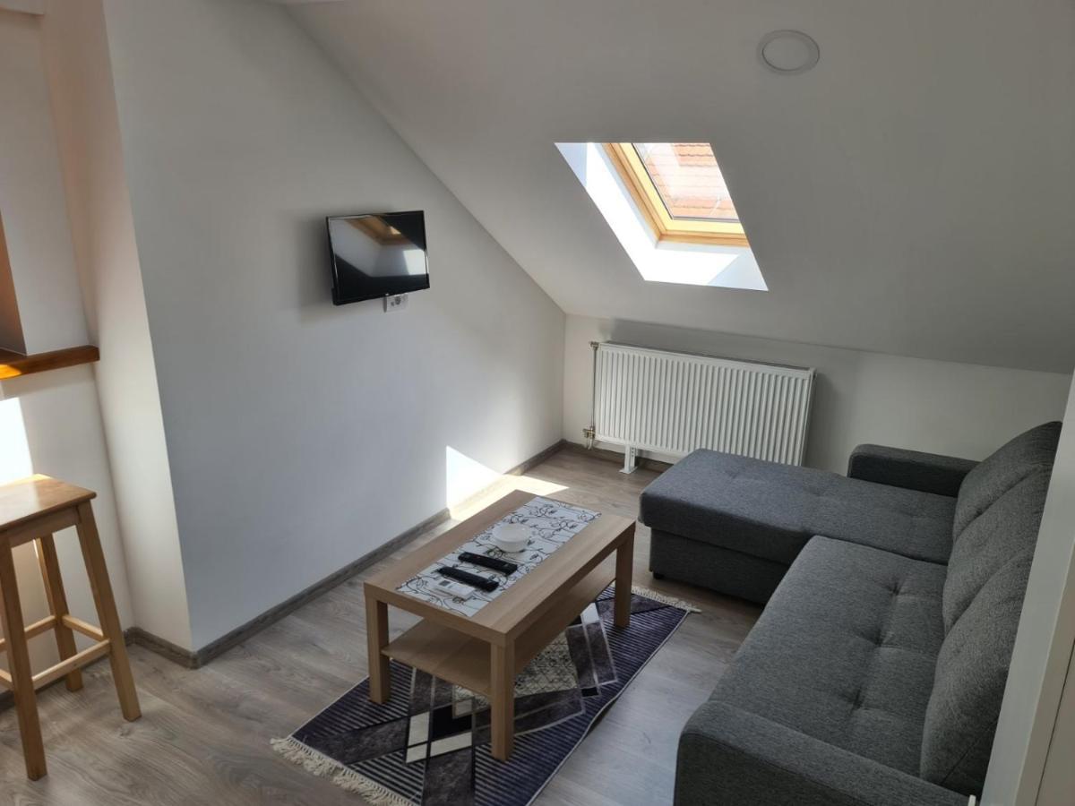 Old Town Apartment Novi Sad