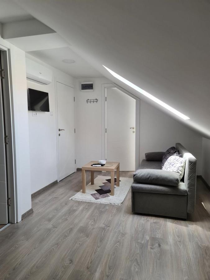 Old Town Apartment Novi Sad